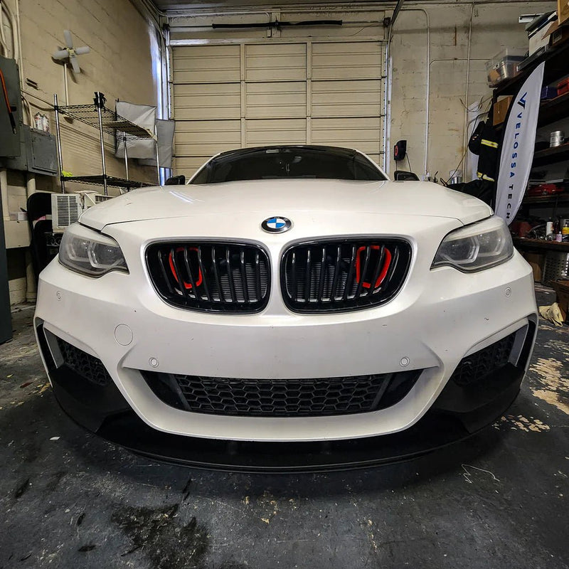 Load image into Gallery viewer, 2014 - 2021 BMW F22 (2 - Series) and 2012 - 2019 BMW F20/F21 (1 - Series) BIG MOUTH Ram Air Intake Snorkel (Single or Dual) - FSPE