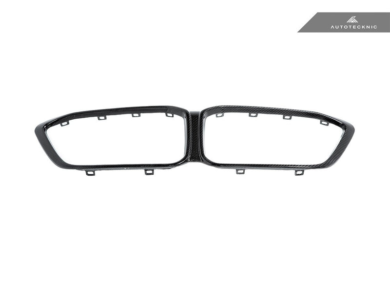 Load image into Gallery viewer, BMW F87 M2 Competition - Dry Carbon Grille Surround - FSPE