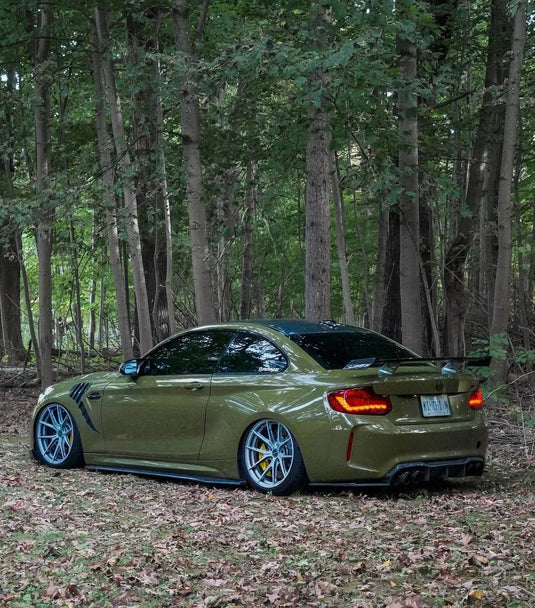 BMW M2 F87 & G87, M3 G80/81, M4 G82/83 TR87 V2 Carbon Fiber Rear Wing - FSPE