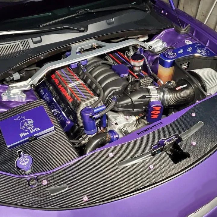 Load image into Gallery viewer, Dodge Charger Radiator Cover (2015 - 2023) - FSPE