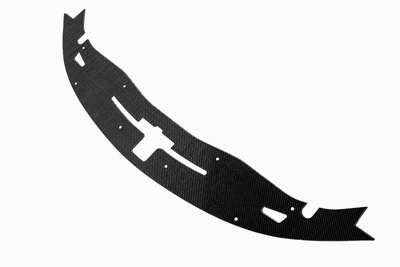 Load image into Gallery viewer, Dodge Charger Radiator Cover (2015 - 2023) - FSPE