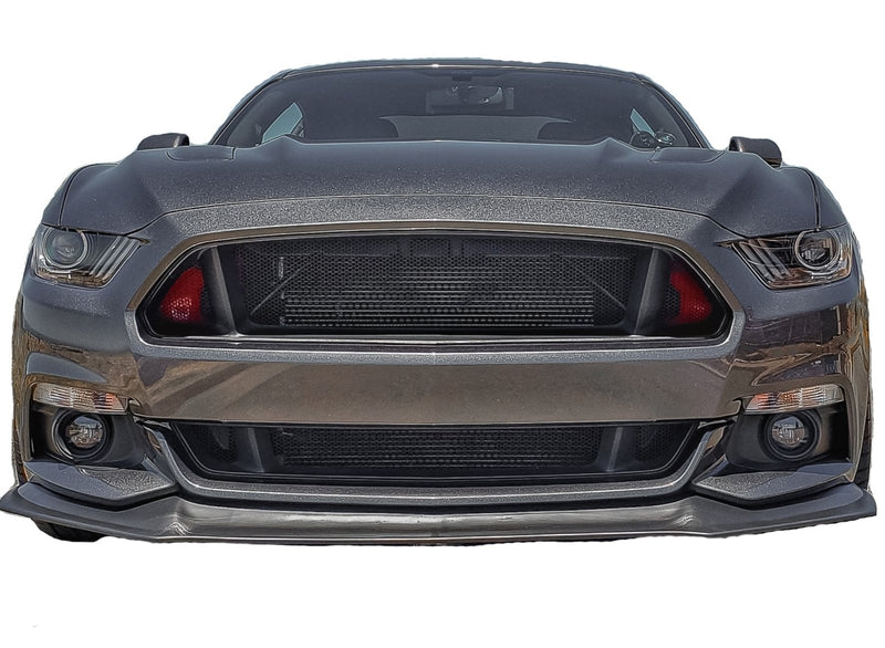 Load image into Gallery viewer, Ford Mustang GT (2015-2017) Honeycomb Grille Mesh Set - FSPE