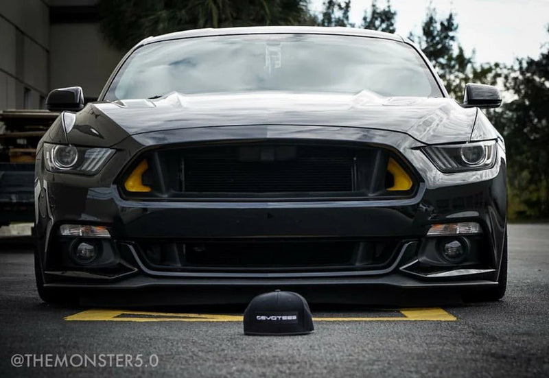 Load image into Gallery viewer, Ford Mustang S550 (2015 - 2017) BIG MOUTH Ram Air Intake Snorkel - FSPE