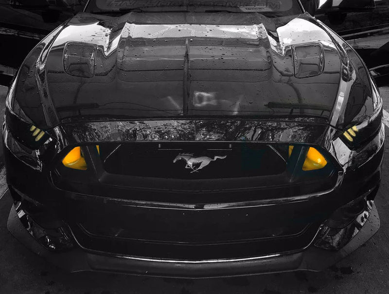 Load image into Gallery viewer, Ford Mustang S550 (2015 - 2017) BIG MOUTH Ram Air Intake Snorkel - FSPE