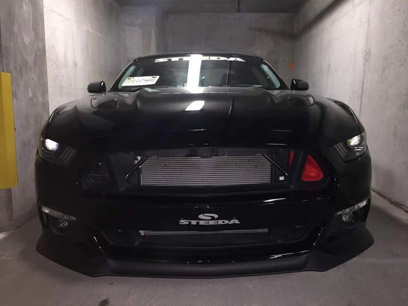 Load image into Gallery viewer, Ford Mustang S550 (2015 - 2017) BIG MOUTH Ram Air Intake Snorkel - FSPE