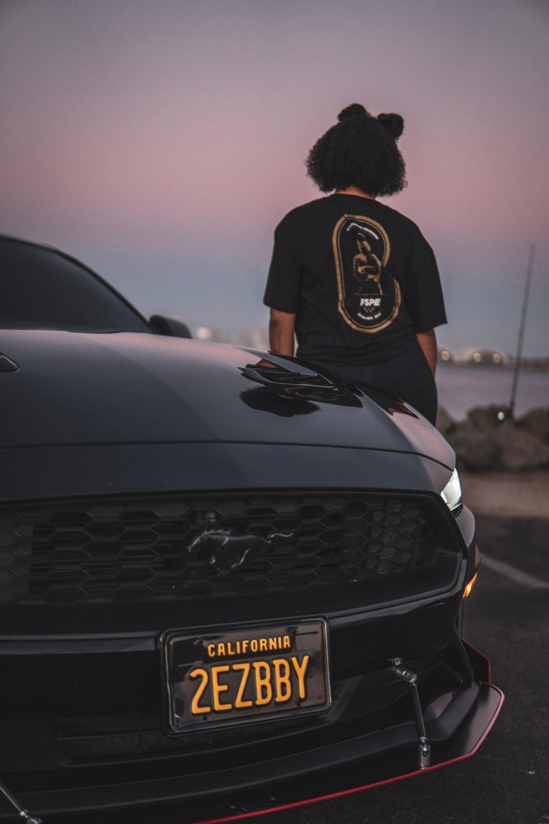 Load image into Gallery viewer, FSPE Official T-Shirt (Classic Logo) - FSPE