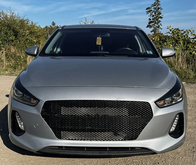 Load image into Gallery viewer, Hyundai Elantra GT (2018 - 2020) Mesh Grille Insert - FSPE