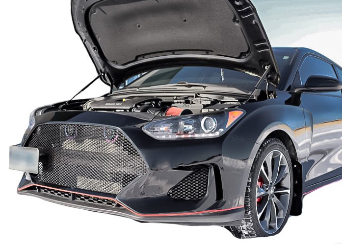 Load image into Gallery viewer, Hyundai Veloster Non "N" Version (2019 - 2021) Mesh Grille Insert - FSPE