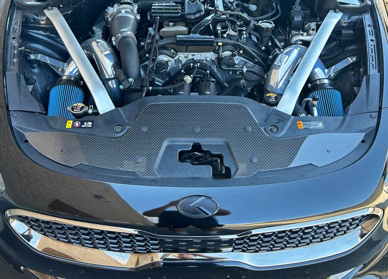 Load image into Gallery viewer, Kia Stinger (2018 - 2023) Carbon Fiber Radiator Cover Overlay - FSPE