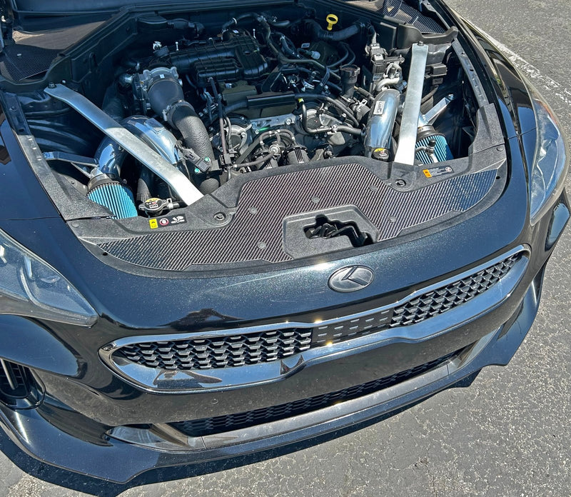Load image into Gallery viewer, Kia Stinger (2018 - 2023) Carbon Fiber Radiator Cover Overlay - FSPE