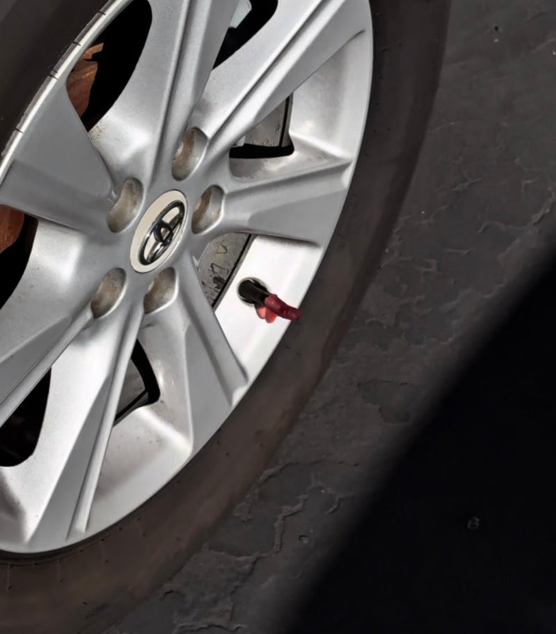 Load image into Gallery viewer, Penis Valve Stems - The 1” Punisher (set of 4) - FSPE