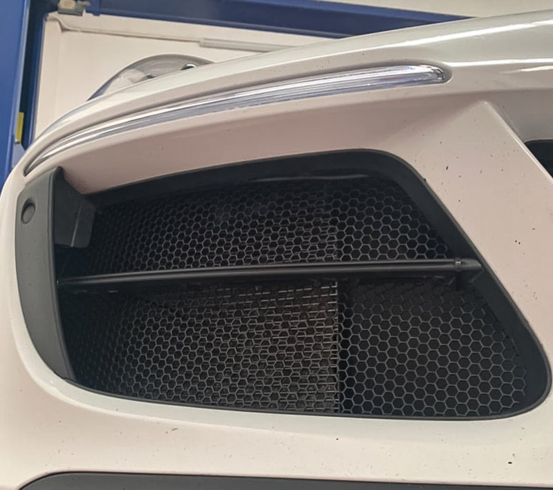 Load image into Gallery viewer, Porsche 991.2 GTS (2015 - 2018) Mesh Grille Inserts - FSPE