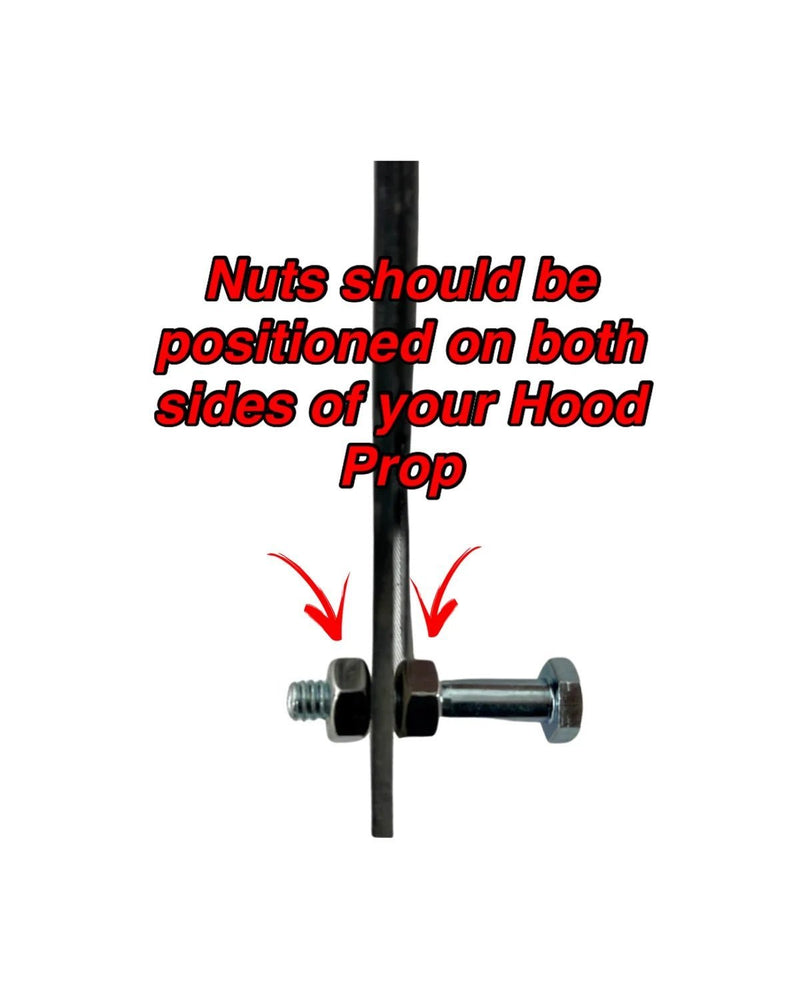 Load image into Gallery viewer, Shelby GT350 / GT500 Premium Hood Prop - FSPE