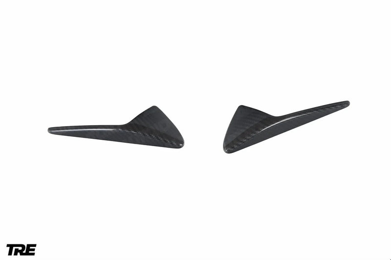 Load image into Gallery viewer, Tesla Model 3 (2017 - 2023) Carbon Fiber Side Fender Trims - FSPE