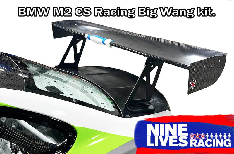 Load image into Gallery viewer, BMW M2 CS Racing Big Wang Kit - FSPE