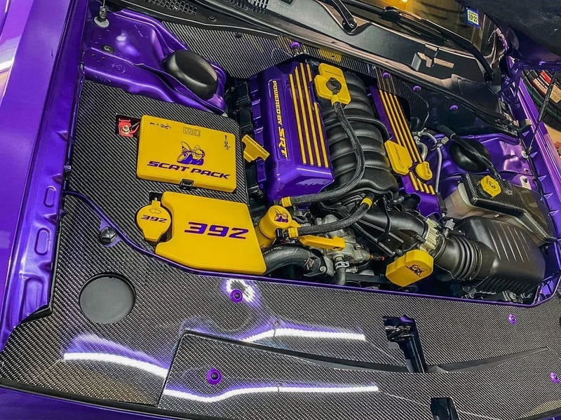 Load image into Gallery viewer, Dodge Challenger (2015-2023) Fiber Radiator Cover - FSPE