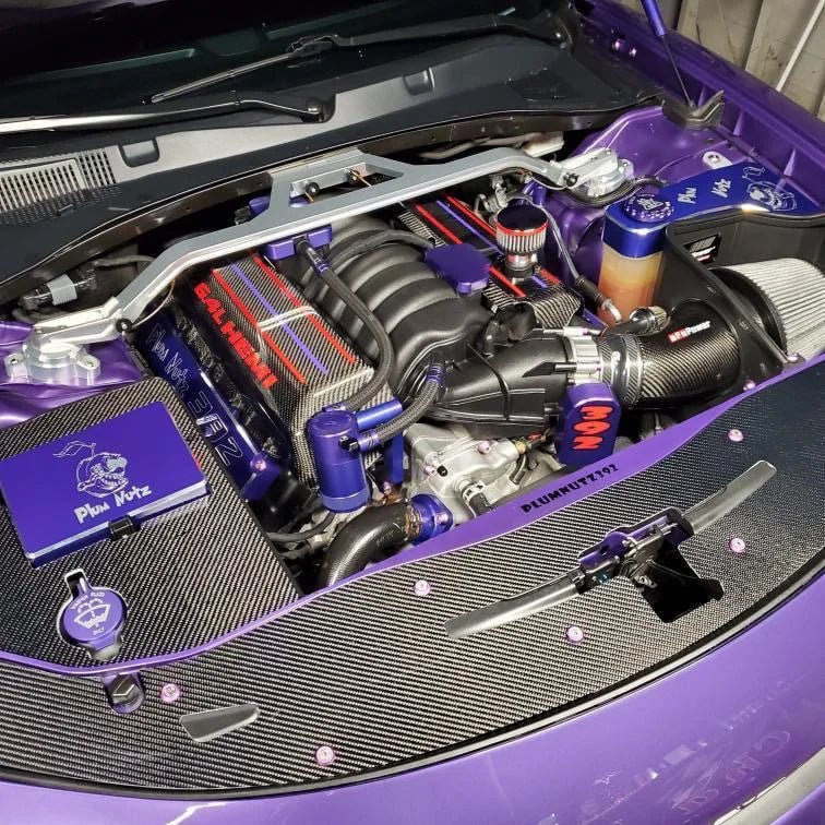 Load image into Gallery viewer, Dodge Charger Radiator Cover (2015-2023) - FSPE