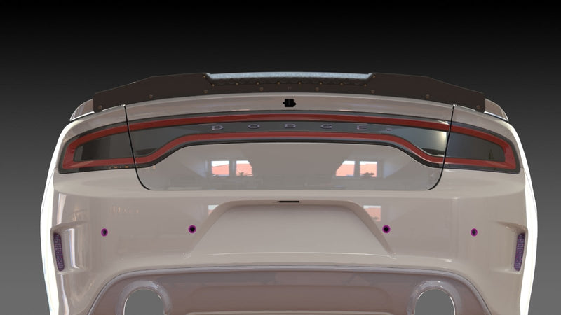 Load image into Gallery viewer, Dodge Charger Wicker Bill by KD - V1 (2015-2019) - FSPE
