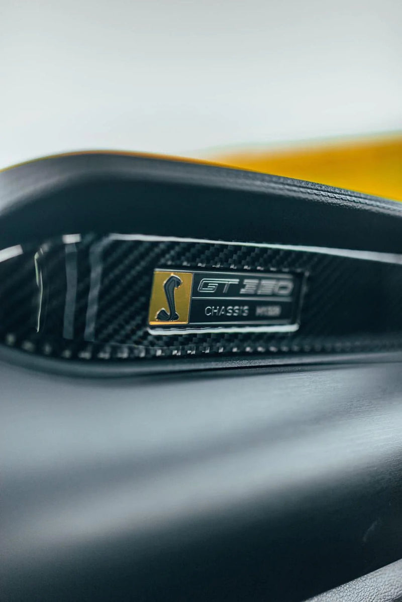 Load image into Gallery viewer, Ford Mustang (2015-2023) Carbon Fiber Passenger Dashboard Strip Trim - FSPE