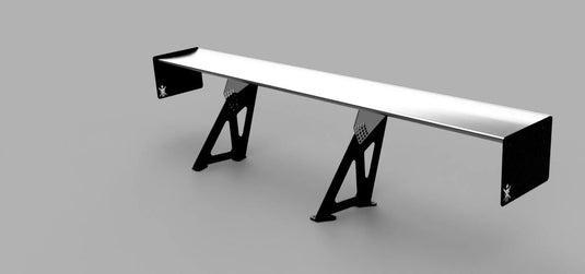 THE BIG WANG KIT FOR E46 BMW (1997-2006) - FSPE