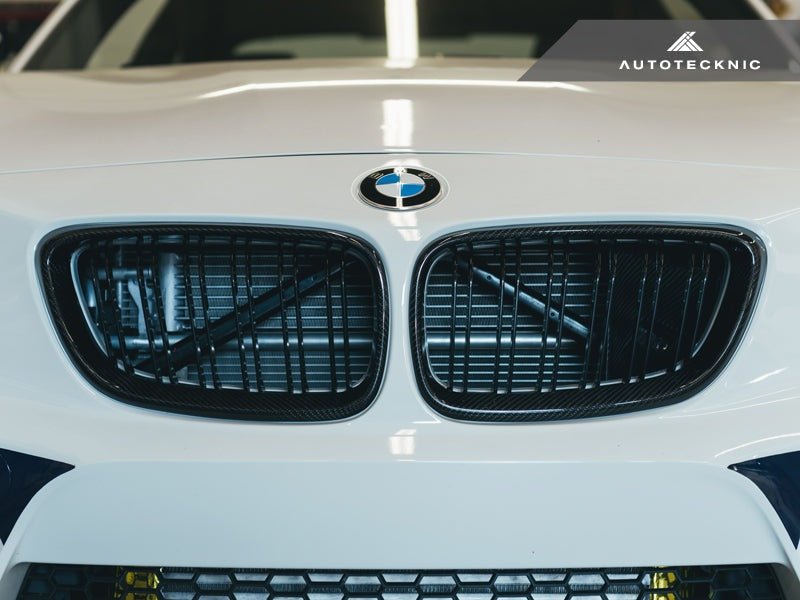Load image into Gallery viewer, BMW F87 M2 | F22 2 - Series - Dual - Slats Carbon Fiber Front Grille Set - FSPE
