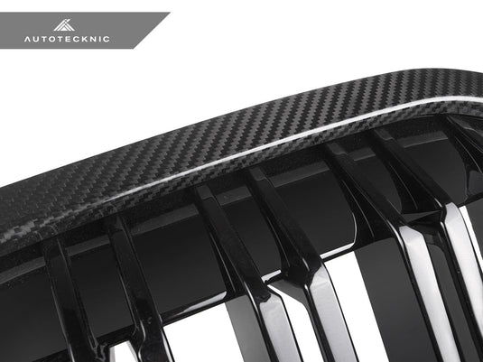 BMW G07 X7 Pre - LCI - Dual - Slats Dry Carbon Front Grilles - FSPE