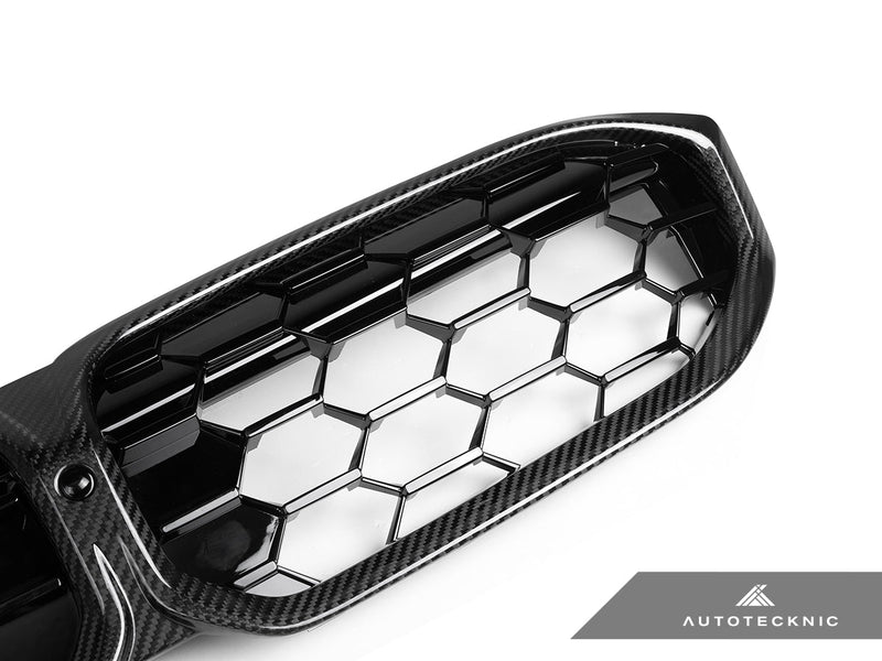 Load image into Gallery viewer, BMW G20 3 - Series LCI - Dry Carbon Fiber Honeycomb Front Grilles - FSPE
