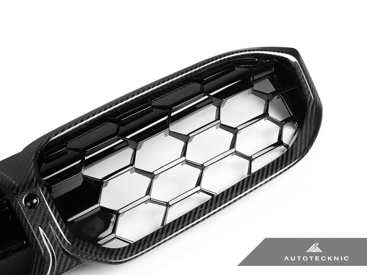 BMW G20 3 - Series LCI - Dry Carbon Fiber Honeycomb Front Grilles - FSPE