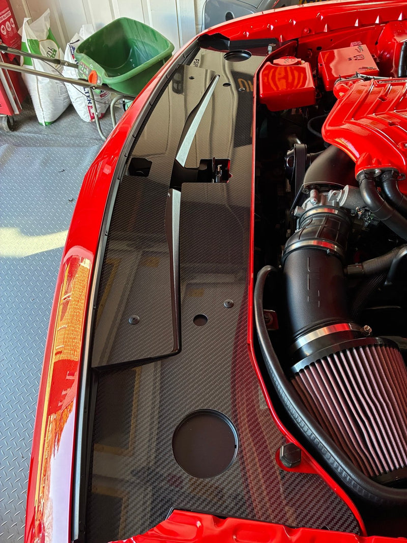 Load image into Gallery viewer, Dodge Challenger (2015 - 2023) Radiator Cover - FSPE
