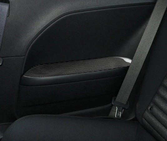 Dodge Challenger (2015-2023) Carbon Fiber Armrest Panel Trim - FSPE